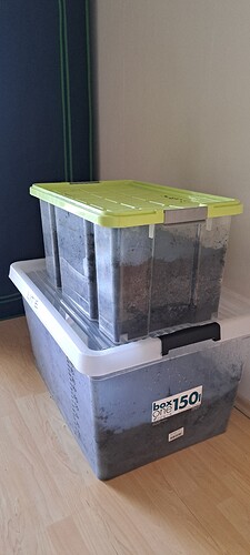 Growreport Bild 13