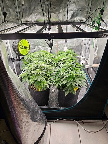 Growreport Bild 7