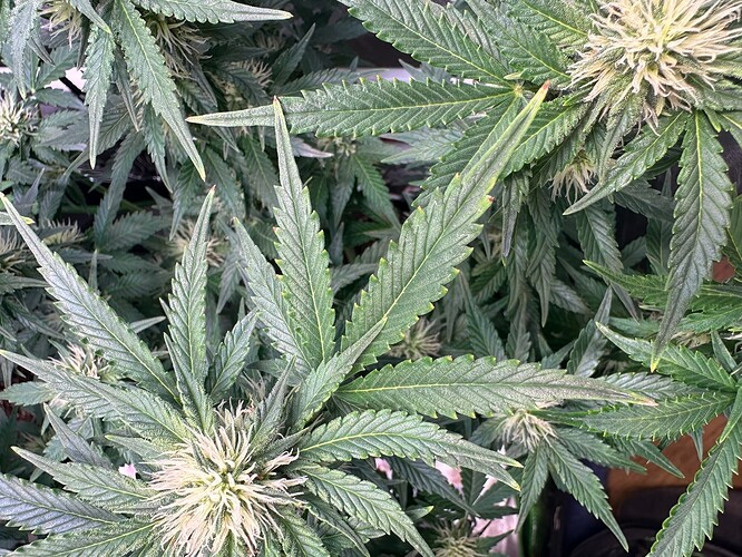 Growreport Bild 14
