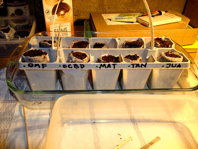 Grow26_0503_Aussaat1_05