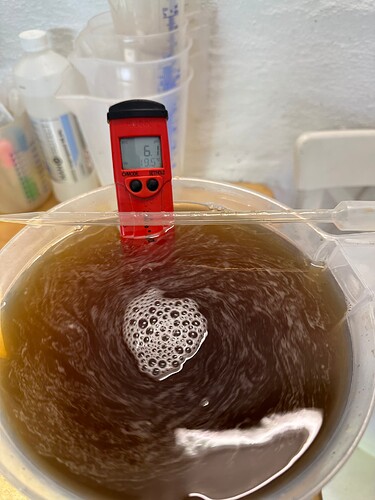 Growreport Bild 1
