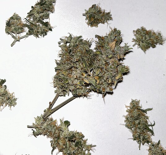 Growreport Bild 25
