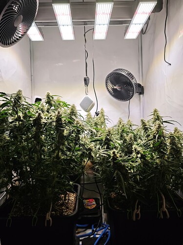 MVIMG_20251112_212335