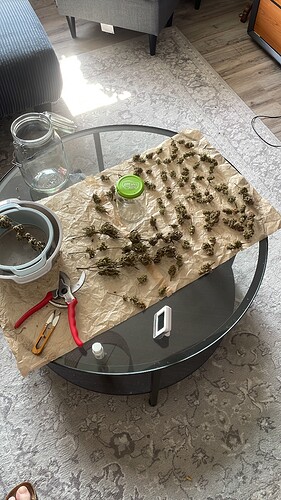 Growreport Bild 5