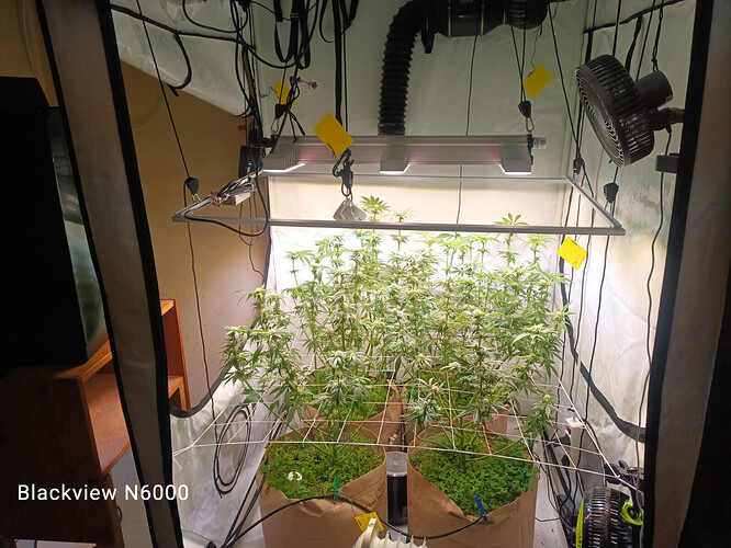 Bild_2024-05-19_142319328