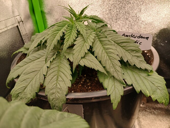 Growreport Bild 11