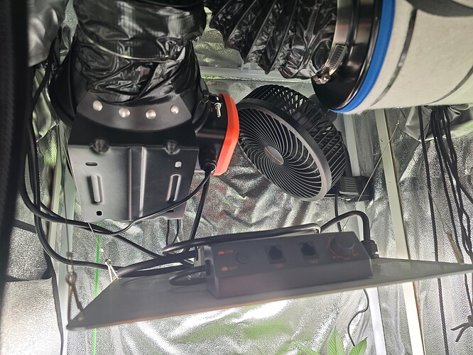 Growreport Bild 2