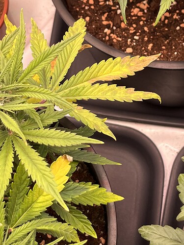 Growreport Bild 21