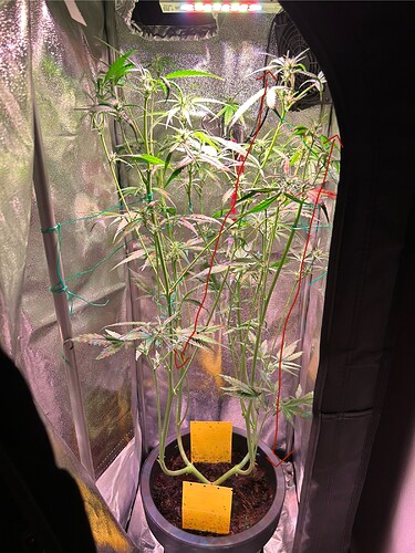 Growreport Bild 12