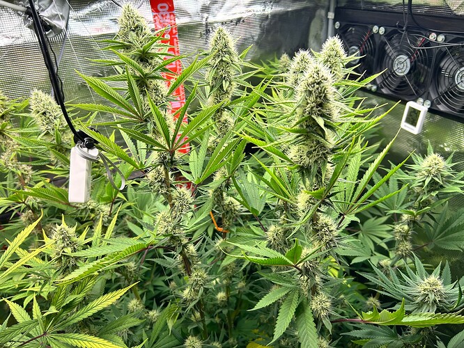 Growreport Bild 10