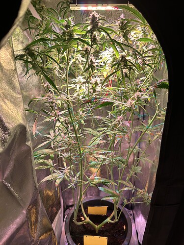 Growreport Bild 5