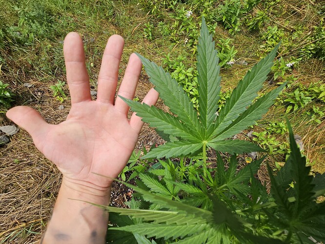Growreport Bild 4