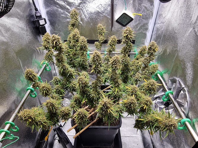 Growreport Bild 14