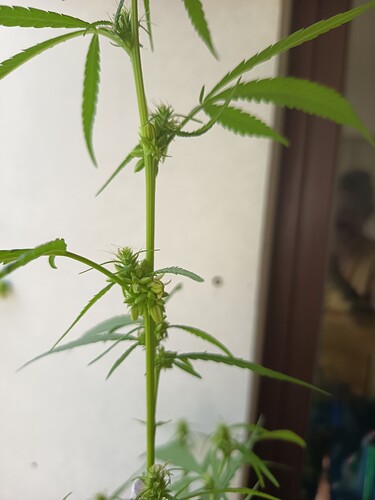 Growreport Bild 6