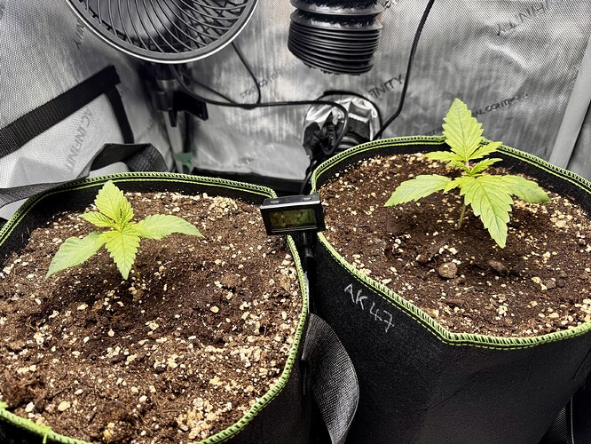 Growreport Bild 2