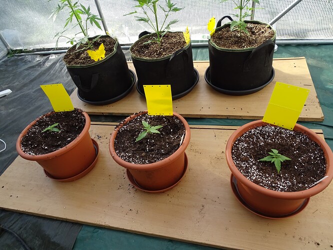 Growreport Bild 11