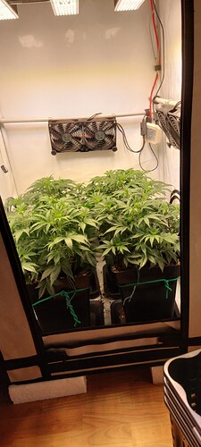 Growreport Bild 3