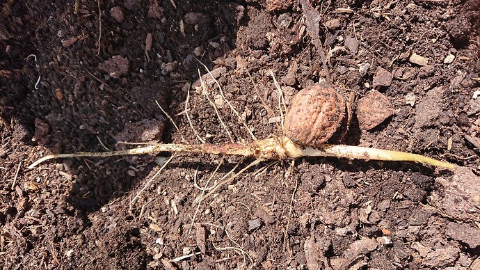 Growreport Bild 15
