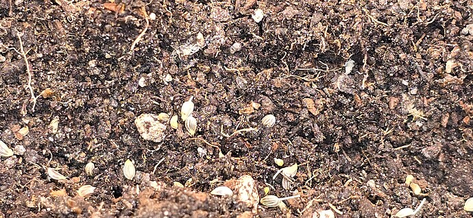 Growreport Bild 22