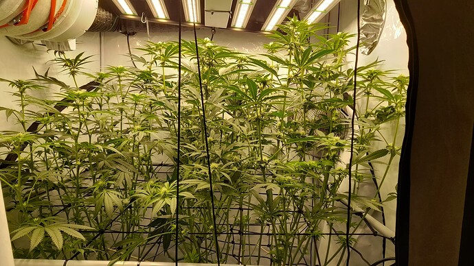 Growreport Bild 4