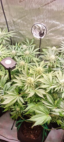 Growreport Bild 18