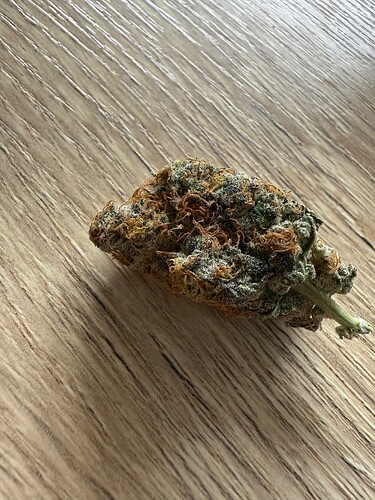 Growreport Bild 29