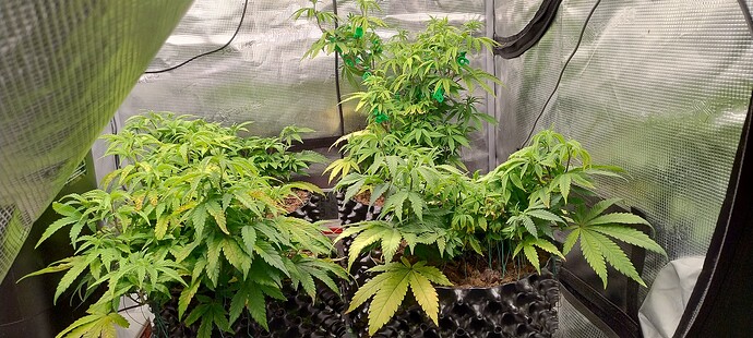 IMG_20251024_094158257_HDR