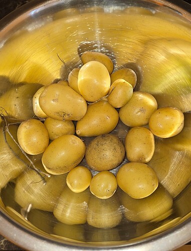 Growreport Bild 41
