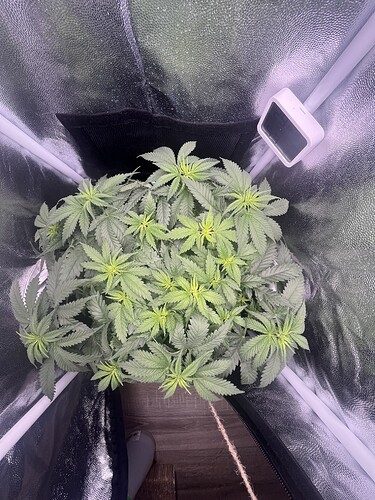 Growreport Bild 28