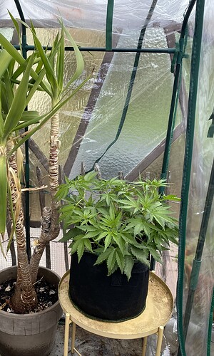 Growreport Bild 1