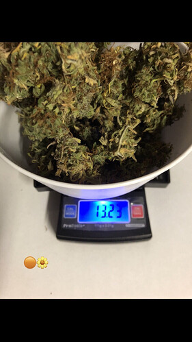 Growreport Bild 2