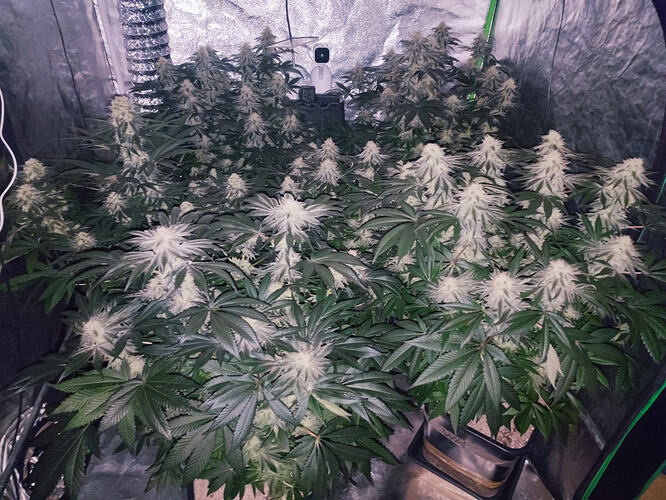 Growreport Bild 18