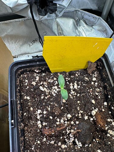 Growreport Bild 25