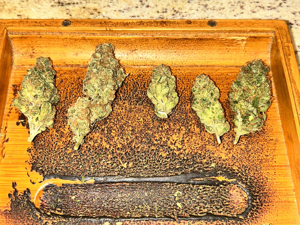 Zwei wie Benzin & Seife… Grow Together mit Lucky Hemp