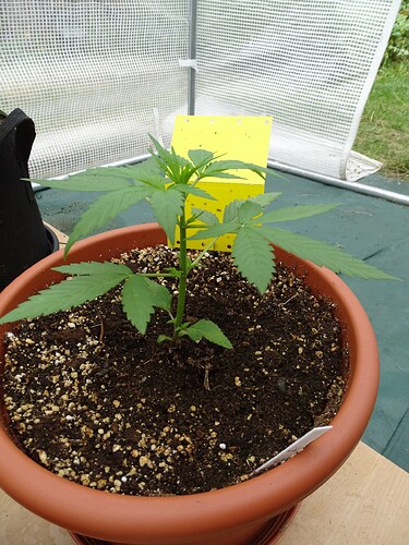 Growreport Bild 19