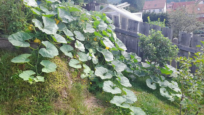 Growreport Bild 18