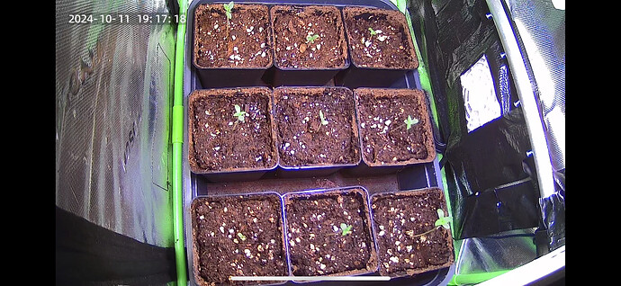 Growreport Bild 3