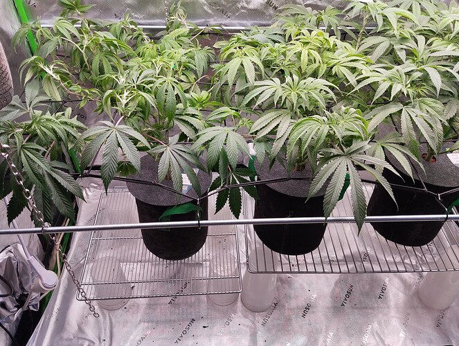 Growreport Bild 5