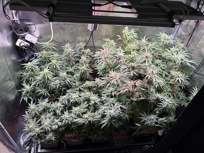 Growreport Bild 12
