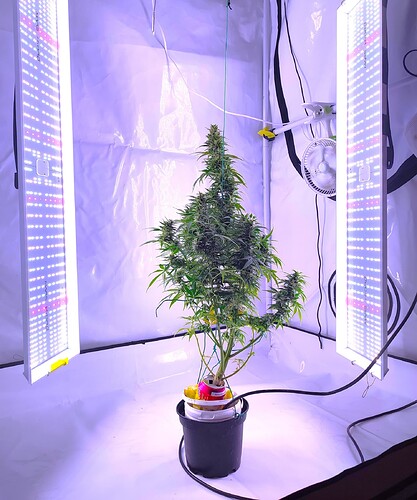 Growreport Bild 5