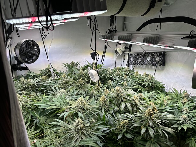 Growreport Bild 26