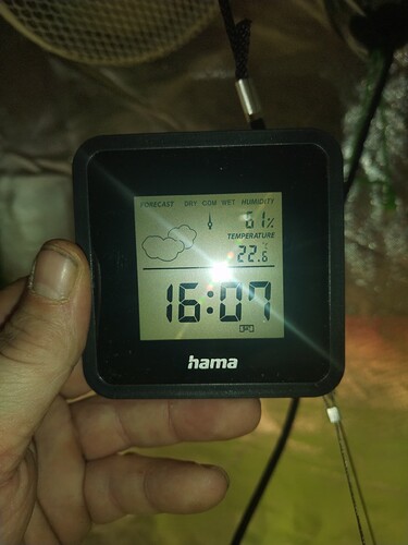 Growreport Bild 2