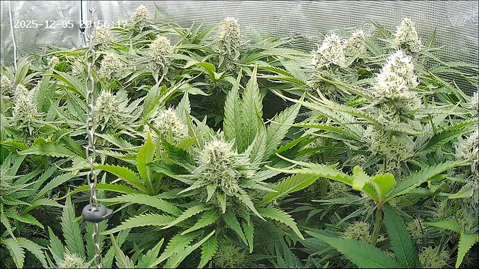 Growreport Bild 17