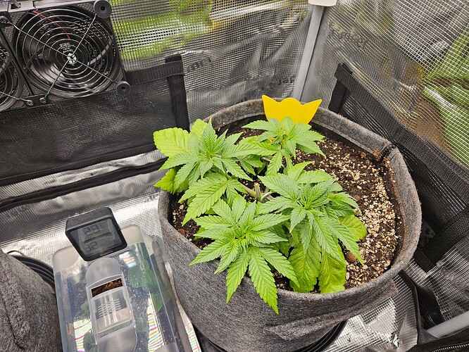 Growreport Bild 5