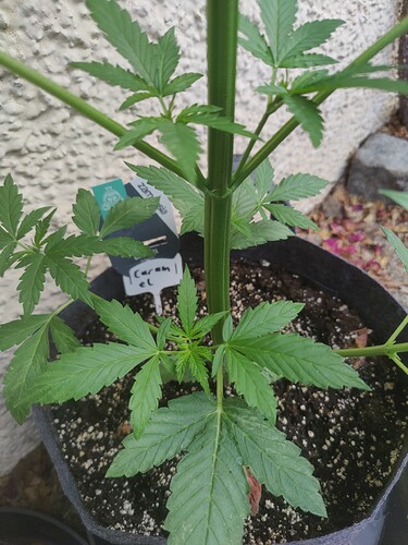 Growreport Bild 8