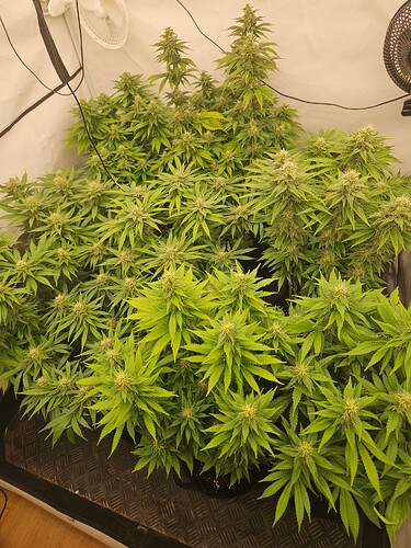 Growreport Bild 14