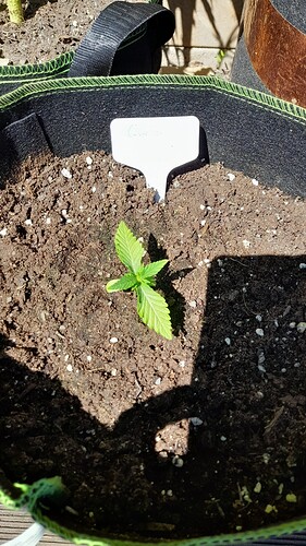 Growreport Bild 12