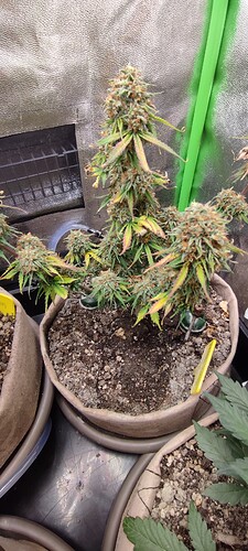 IMG_20240307_231924