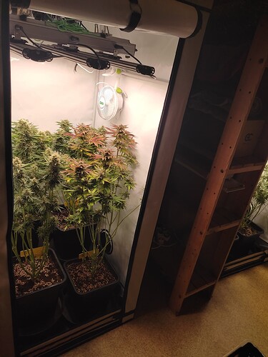 Growreport Bild 11