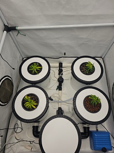 Growreport Bild 22